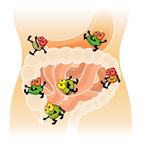 weerstand tegen virussen beestjes in je darm